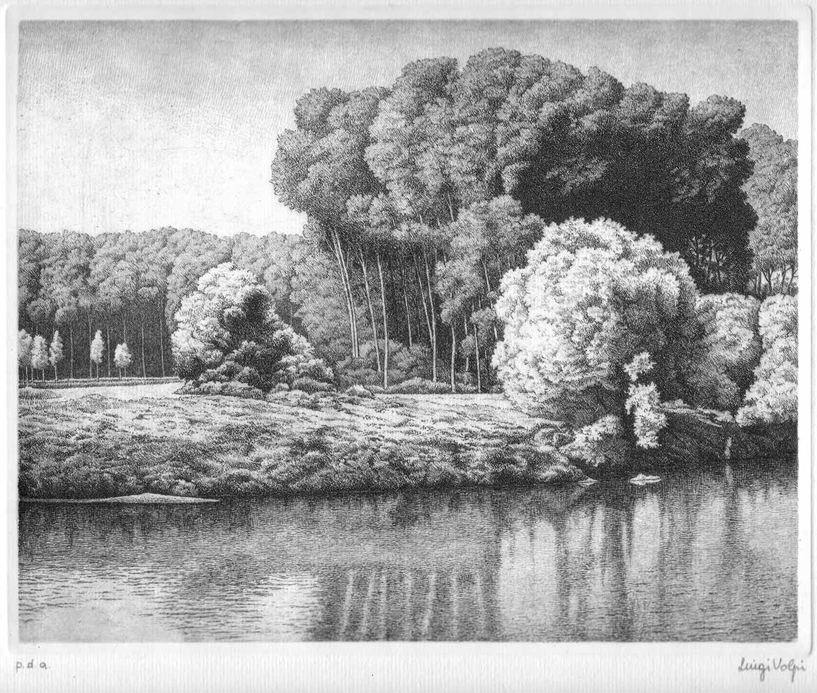 Bosco in riva al fiume - 20x25 cm - 1990 - acquaforte