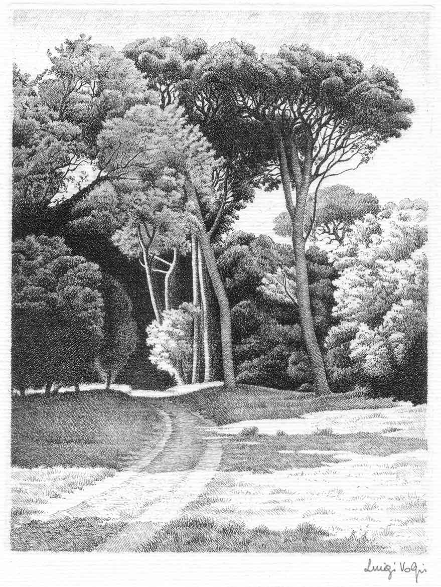 Pineta di S. Rossore (Pisa) - 17x13 cm - 1992 - acquaforte