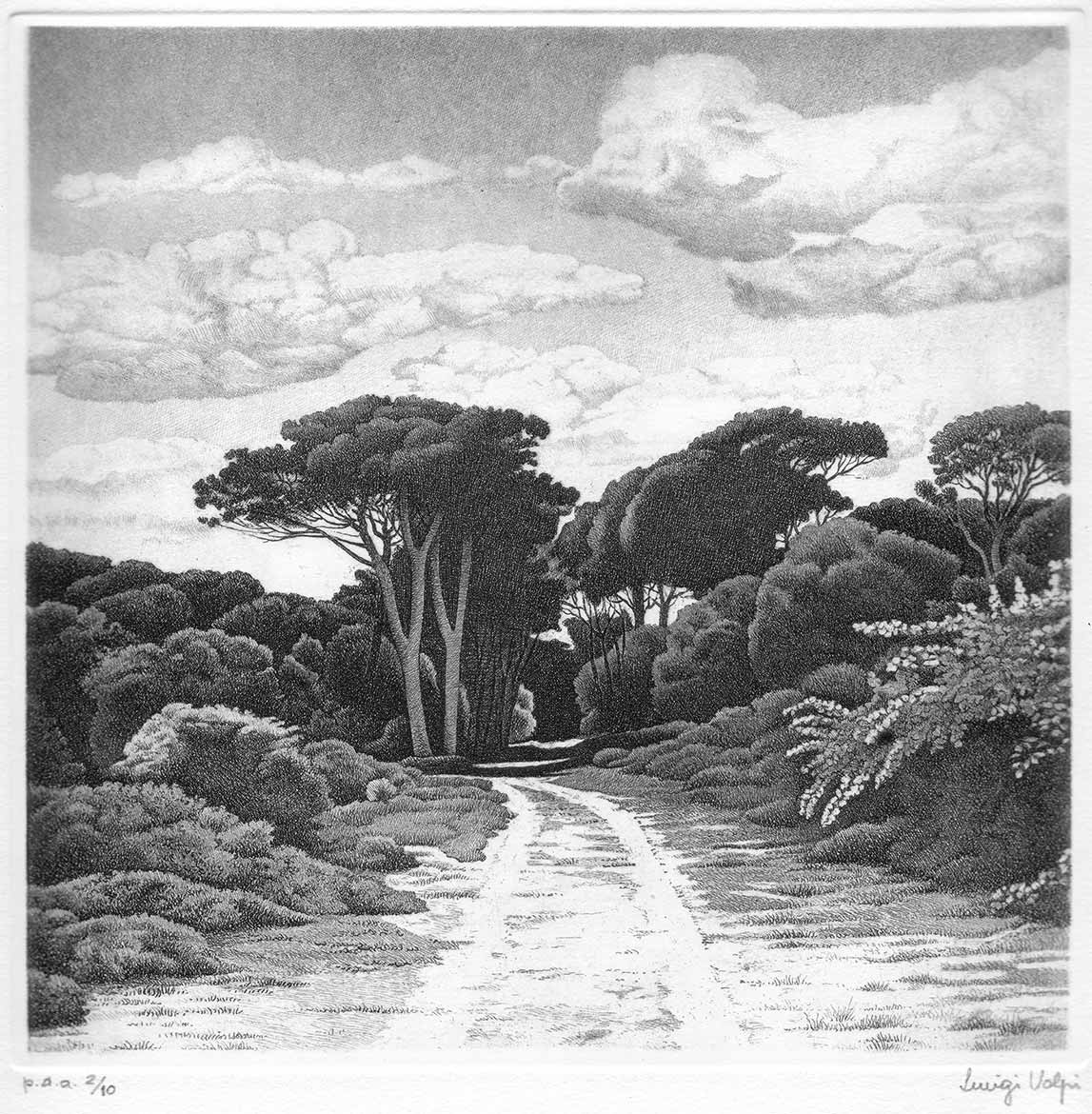 Sentiero a S. Rossore (Pisa) - 15x15 cm - 1993 - acquaforte