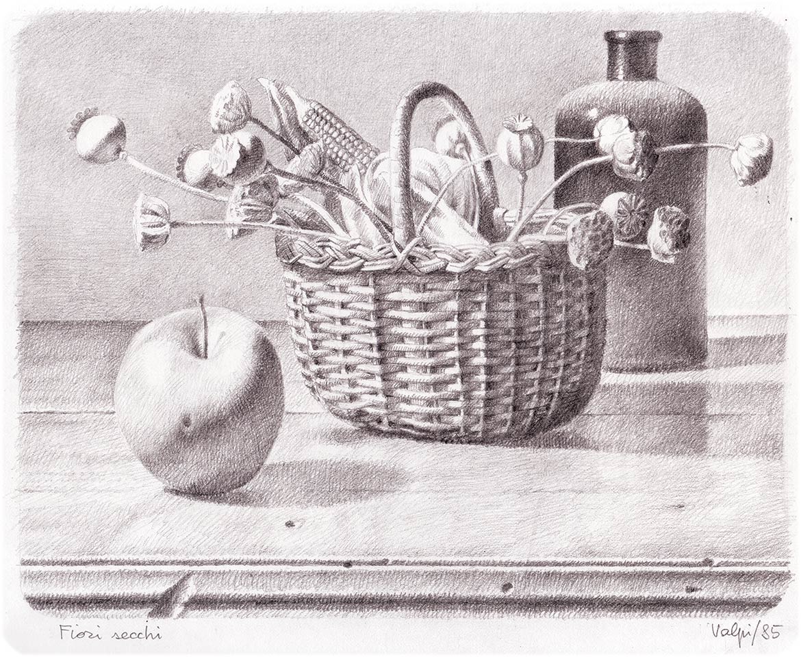 Cesto di fiori secchi - 19x23 cm - 1985 - matita su carta