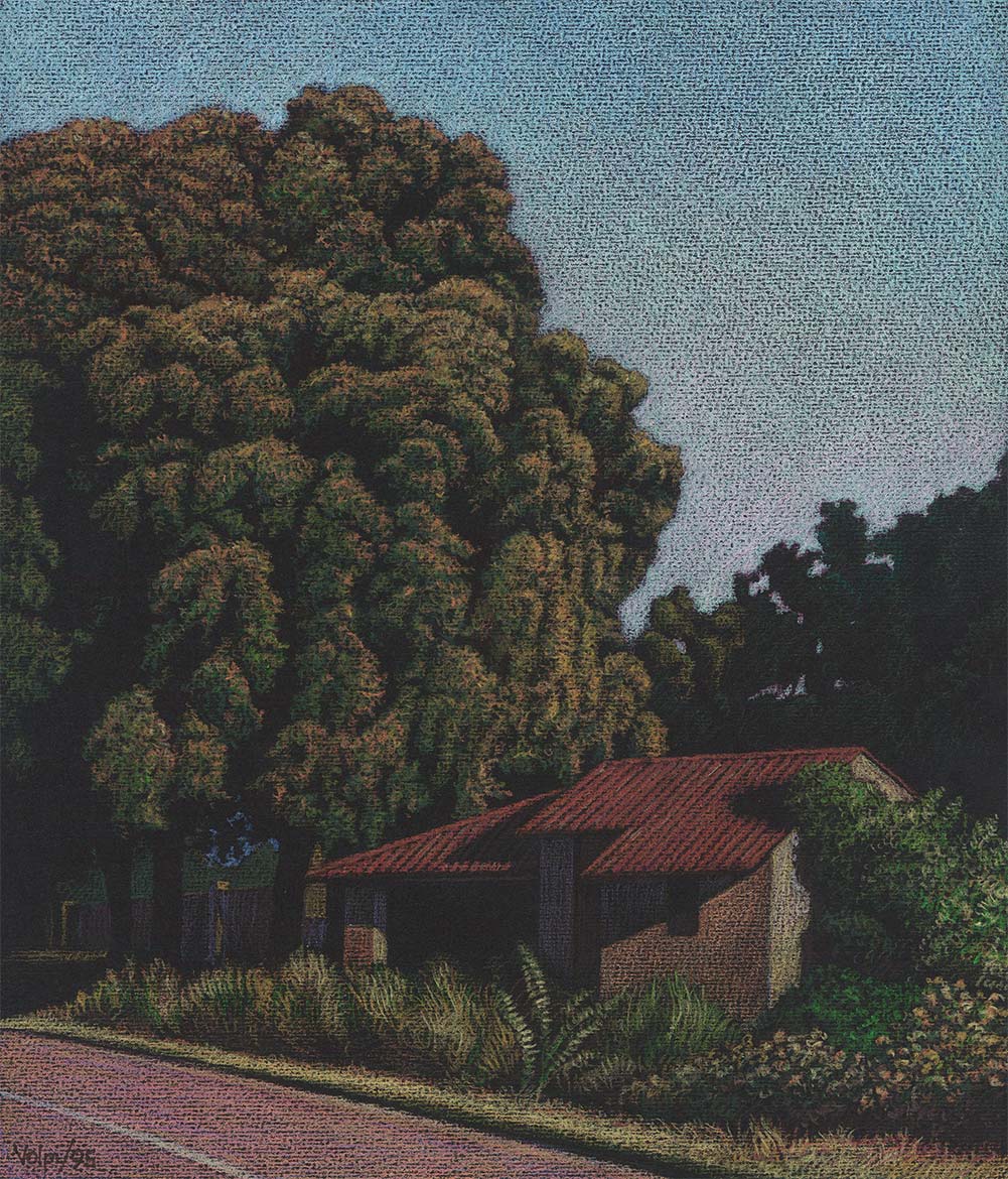 Grande albero - 23x19 cm - 1995 - Pastello su carta
