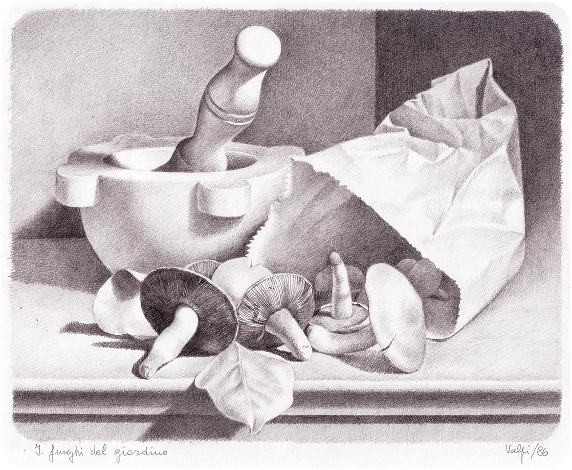I funghi del giardino - 19x24 cm - 1986 - matita su carta