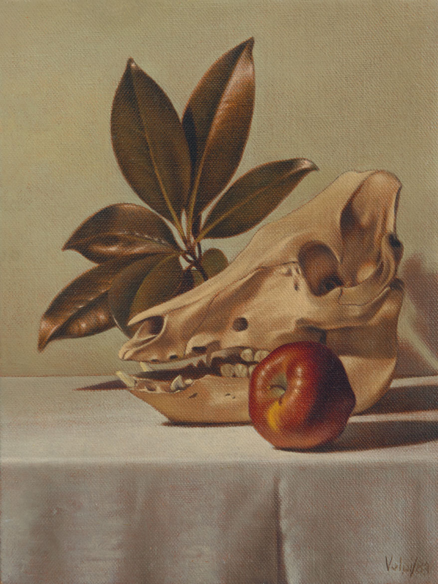 Vanitas 2 - 24x18 cm - 1983 - olio su tela